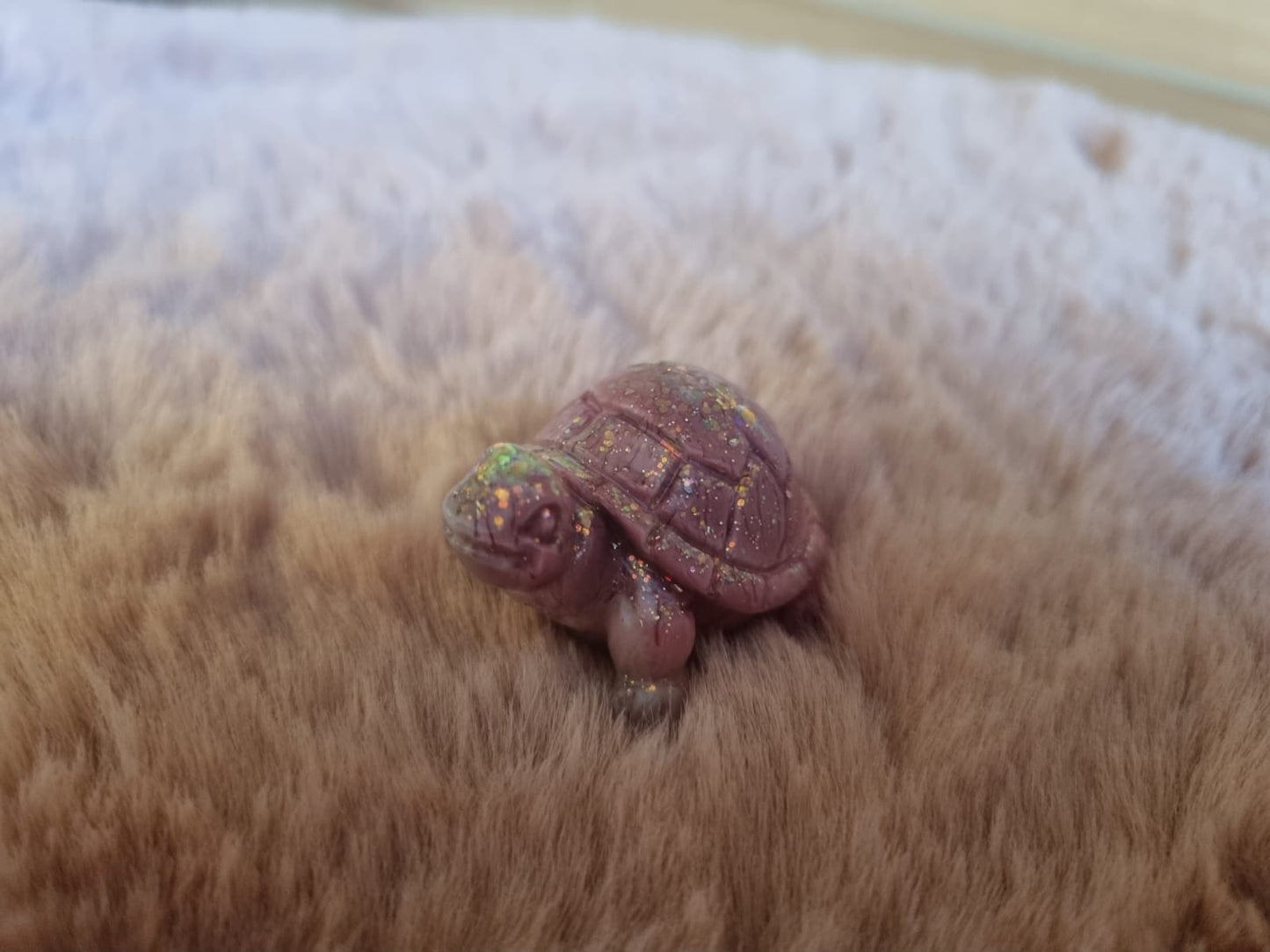 Kleine Schildkröte SSK-4