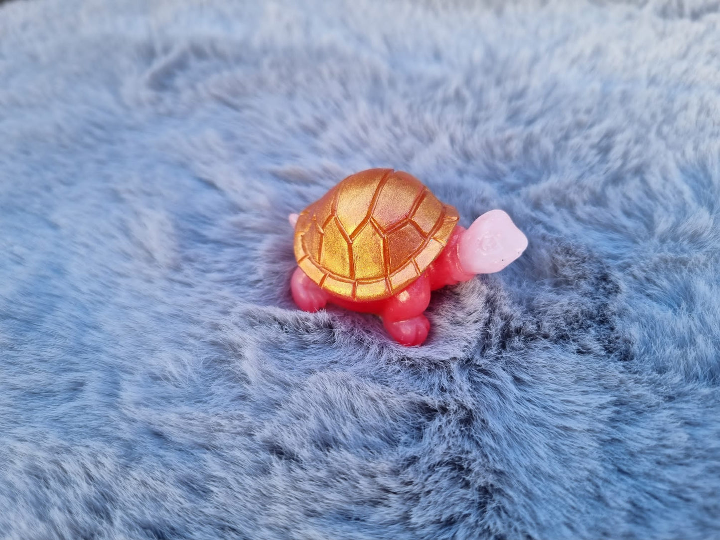 Kleine Schildkröte SKK-2