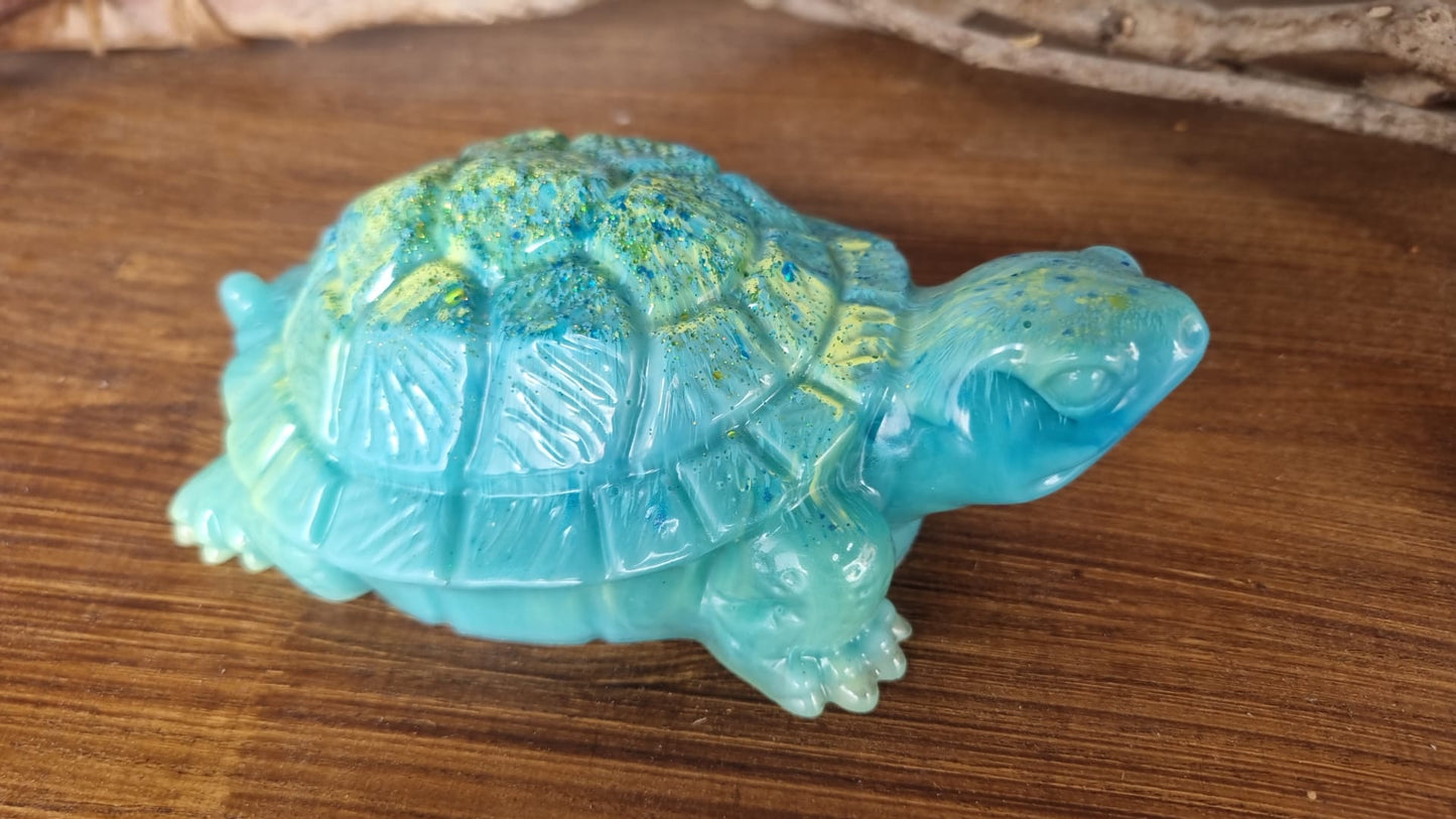 Schildkröten Familie