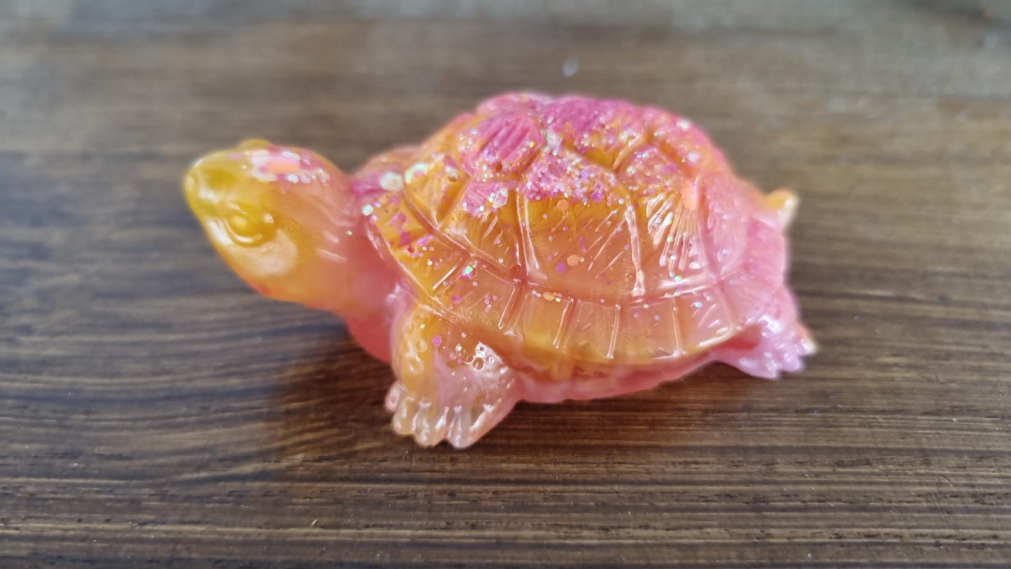 Schildkröten Familie