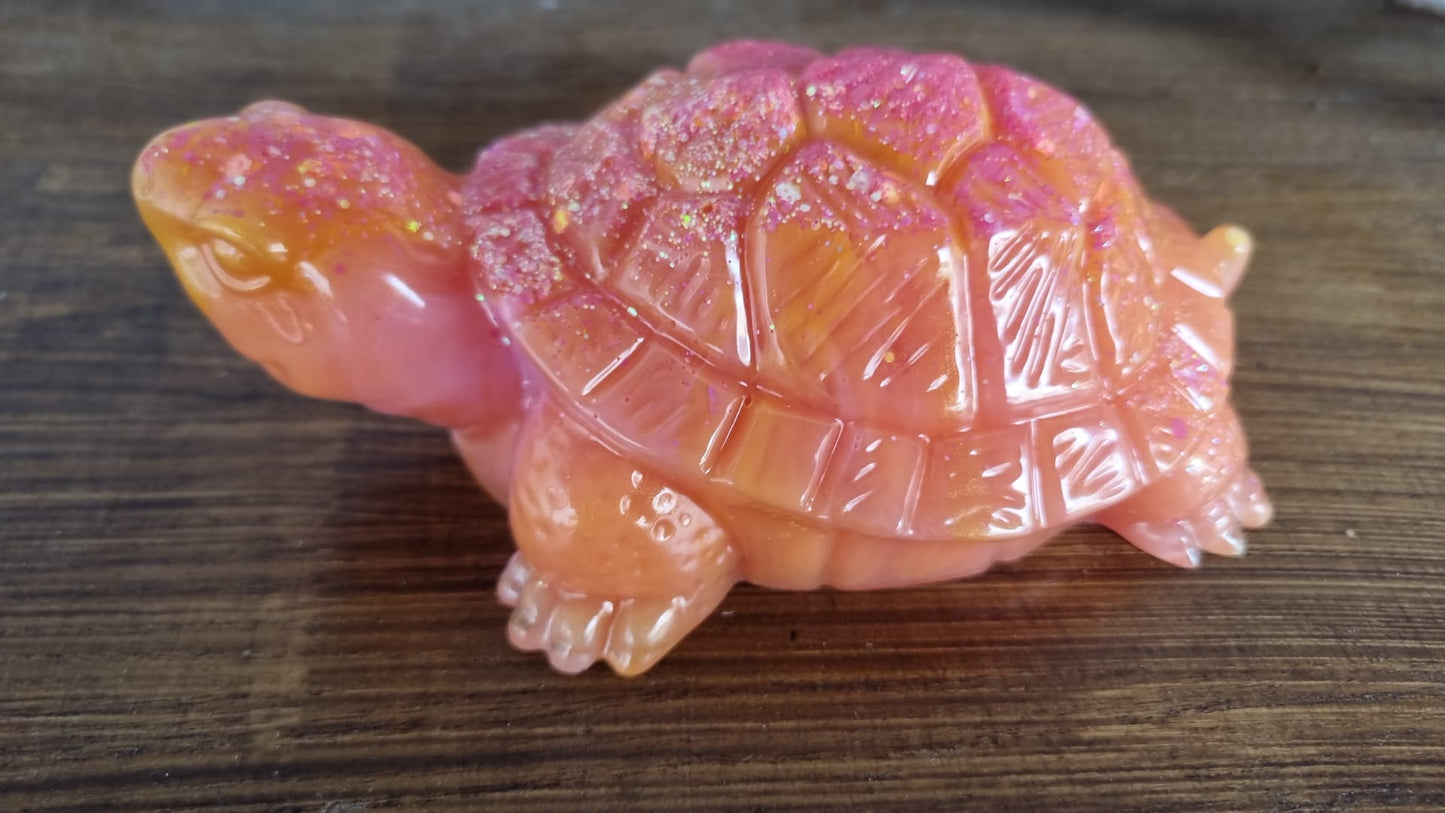 Schildkröten Familie