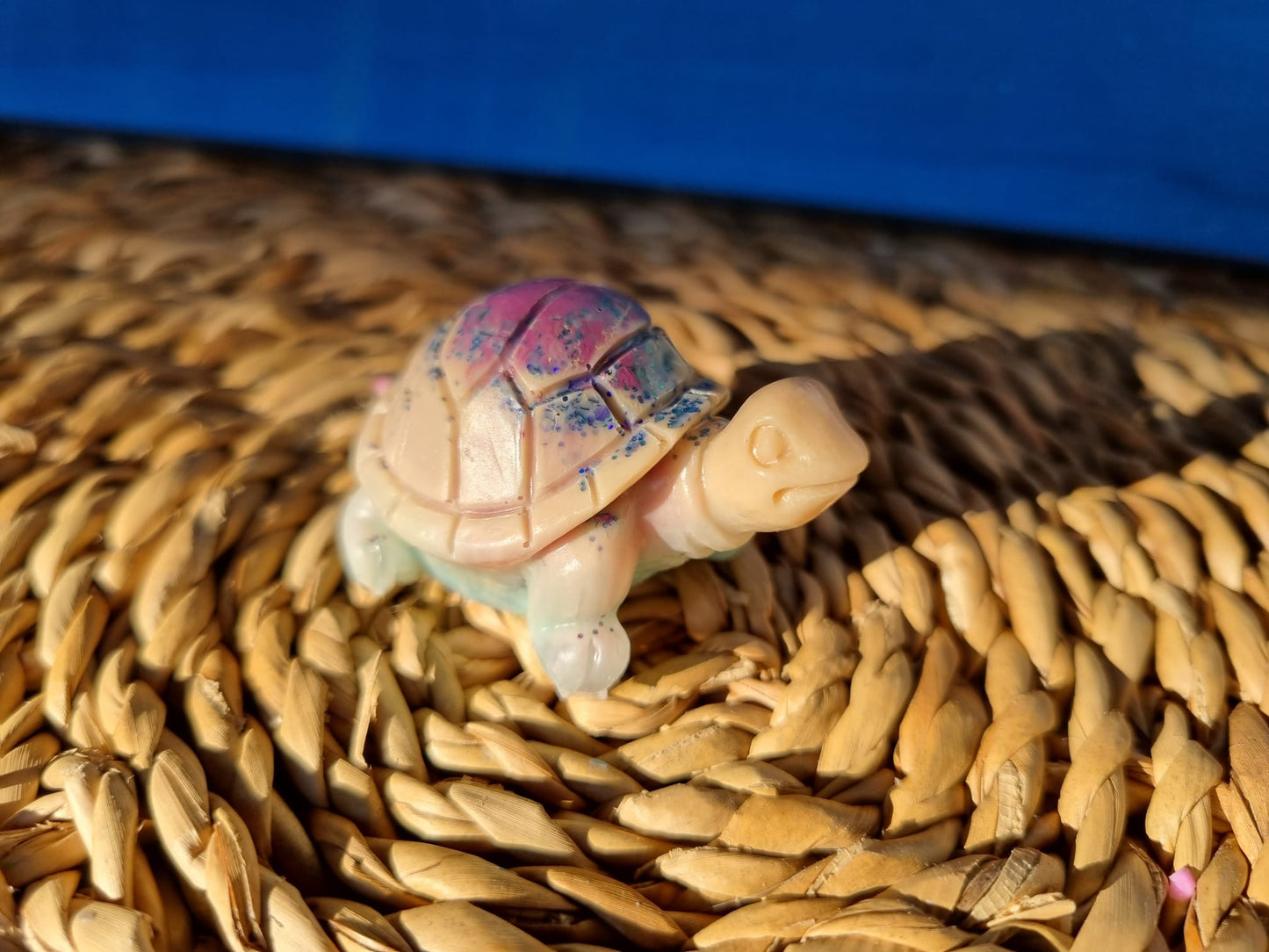 Kleine Schildkröte SKK-5