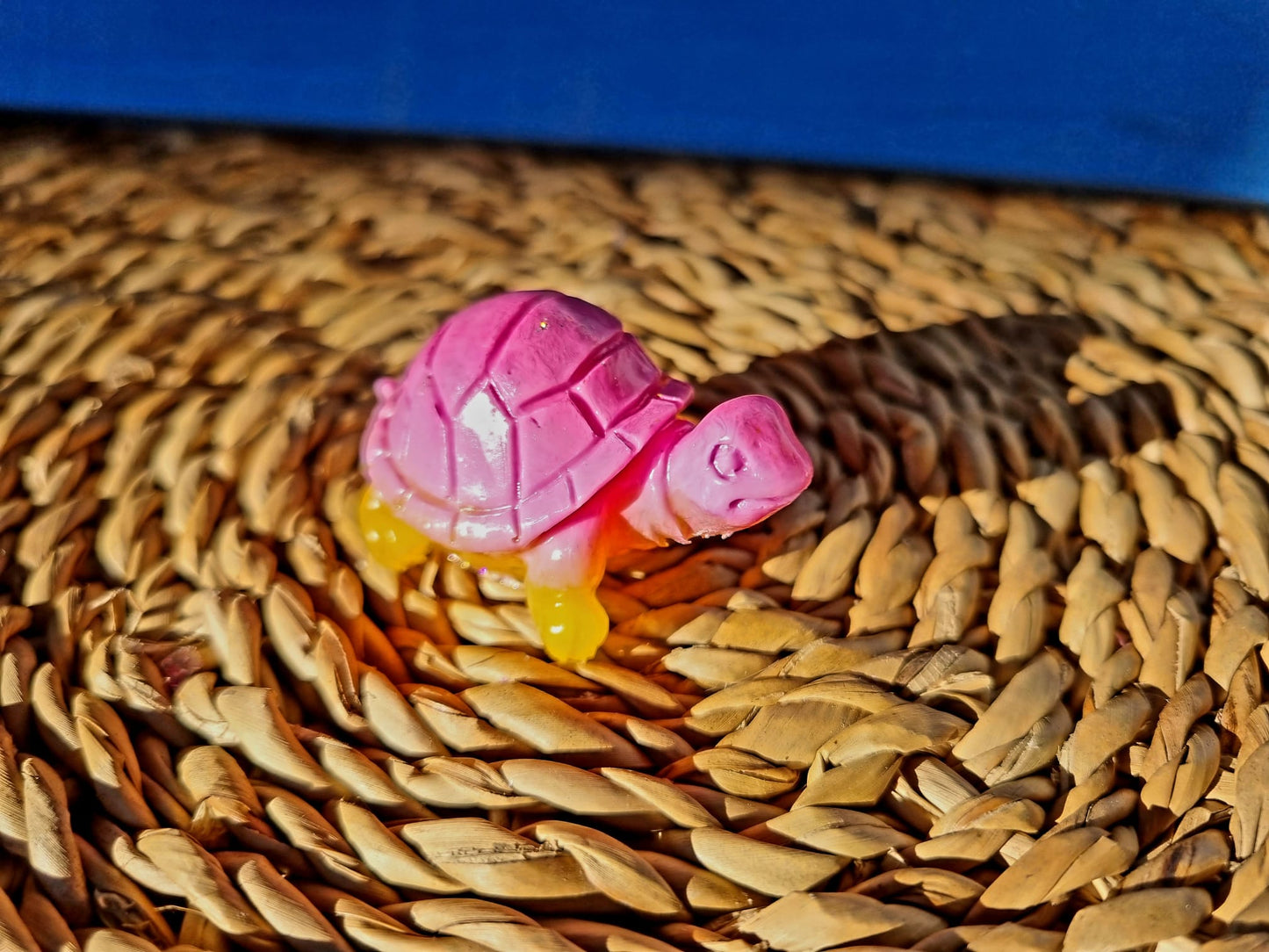 Kleine Schildkröte SKK- 6