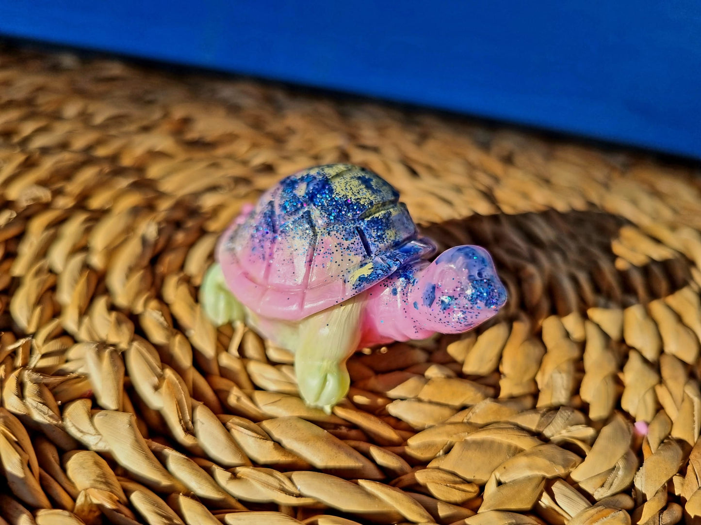 Kleine Schildkröte SKK-13