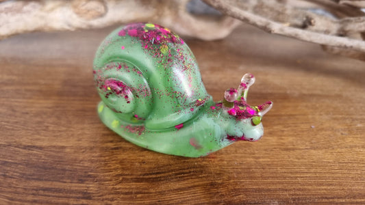 Kleine Schnecke