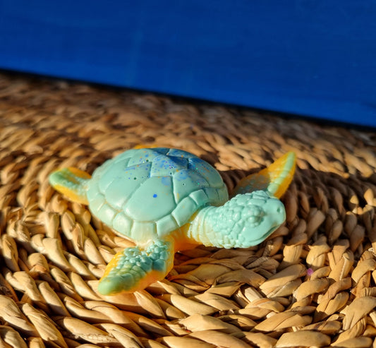 Schildkröte groß  SKG-7